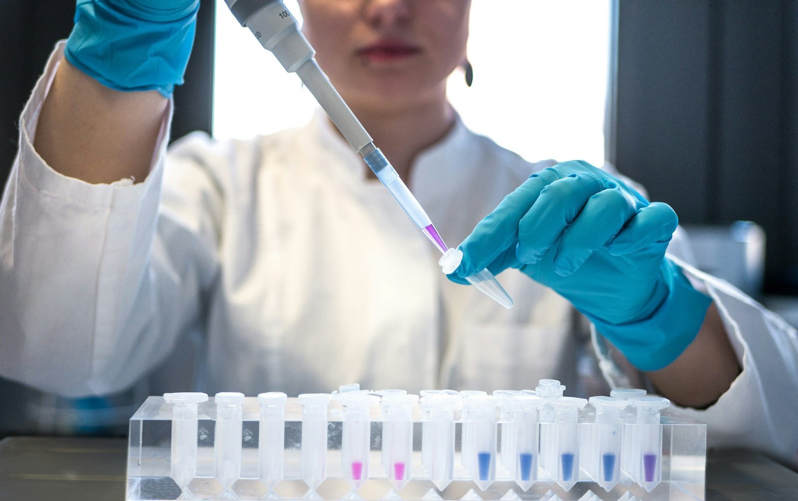 Scientist pipetting samples into test tubes